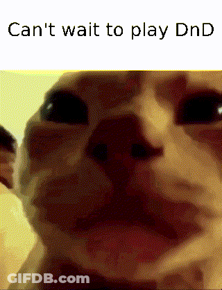Cat Can't Wait To Play Dnd GIF