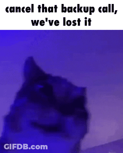 Cat Cancel That Backup Call We've Lost It GIF