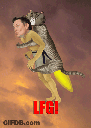 Cat Carrying Man With LFG Text GIF