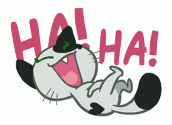 Cat Cartoon Haha GIF