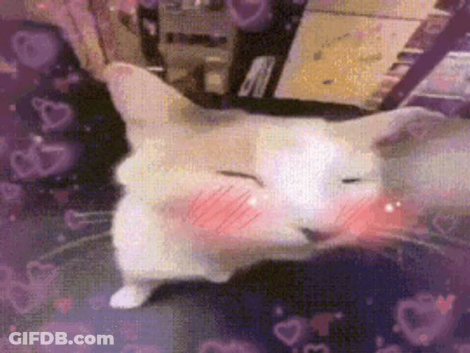 Cat Cat Blush GIF