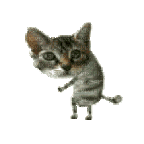 Cat Cat Dance Sticker GIF