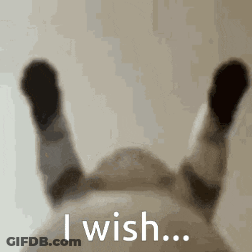 Cat Cat Hump GIF