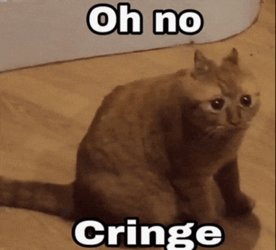 Cat Cat Meme GIF