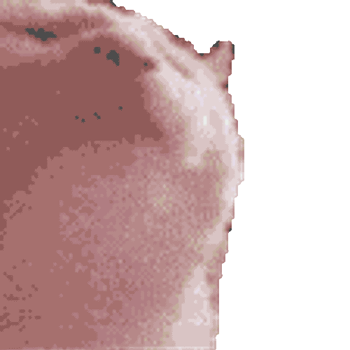 Cat Cat Meme Sticker GIF