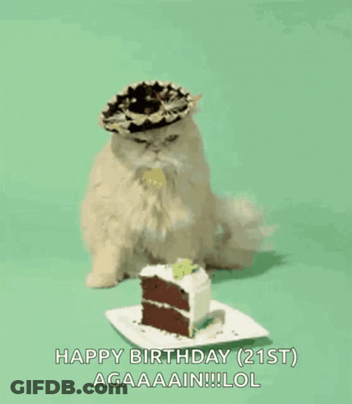 Cat Celebrating Birthday Party Wagging Tail GIF