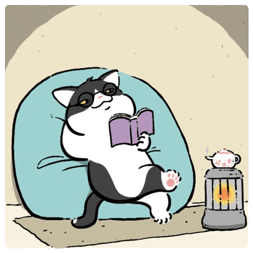 Cat Chilling With A Book GIF