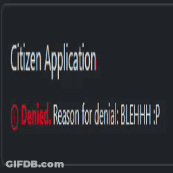 Cat Citizen Application Denial Reason For Denial GIF