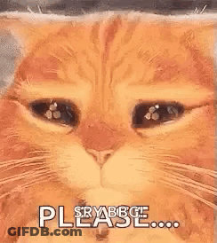 Cat Close Up Eyes Closed Saying Please GIF