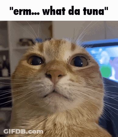Cat Close-Up Saying Erm What Da Tuna GIF