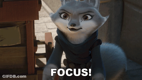 Cat Close Up Saying Focus GIF