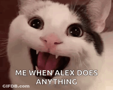 Cat Close Up With Caption D GIF