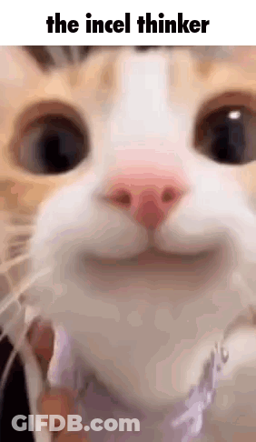 Cat Close Up With Caption The Incel Thinker GIF