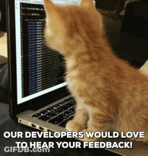 Cat Computer Developers Feedback GIF