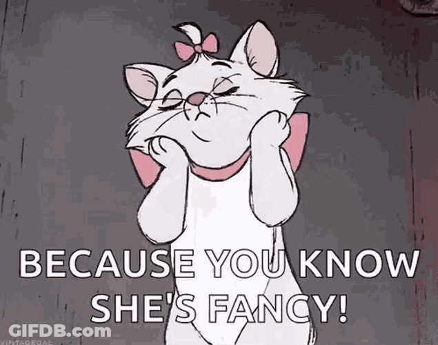 Cat Conceited GIF