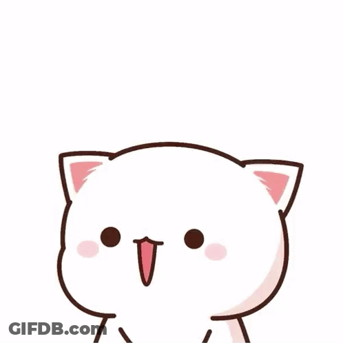 Cat Covering Face With Estrogen GIF