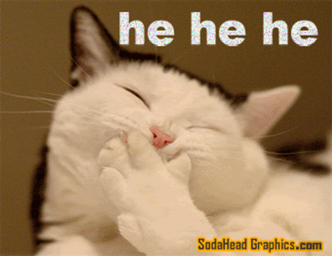 Cat Covering Mouth Hehehe GIF