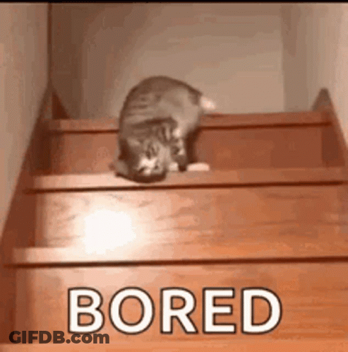 Cat Crawling Up Wooden Stairs GIF