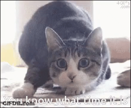 Cat Crawling With You Know What Time Is GIF
