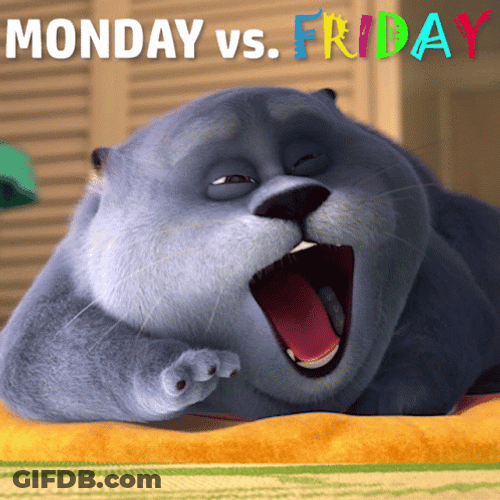 Cat Crazy Monday Versus Friday GIF