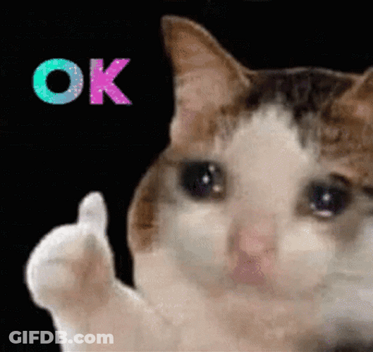 Cat Cries Ok But Sad GIF