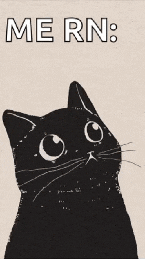 Cat Crying GIF