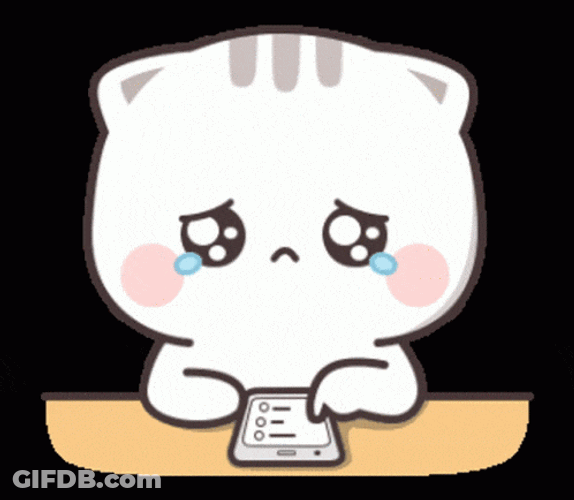 Cat Crying GIF