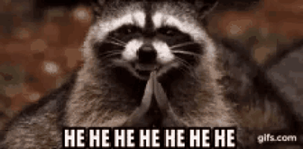 Cat Cute GIF