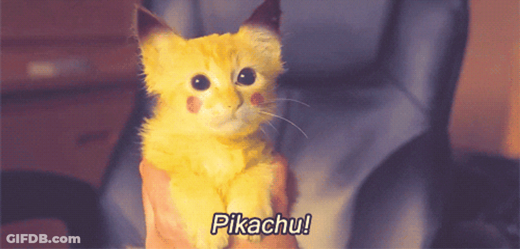 Cat Cute Pikachu Pokemon GIF