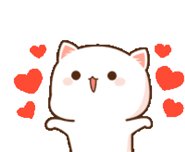 Cat Cute Sticker GIF