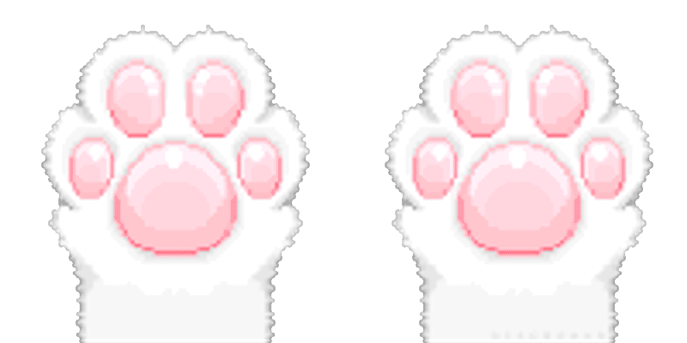 Cat Cute Sticker GIF