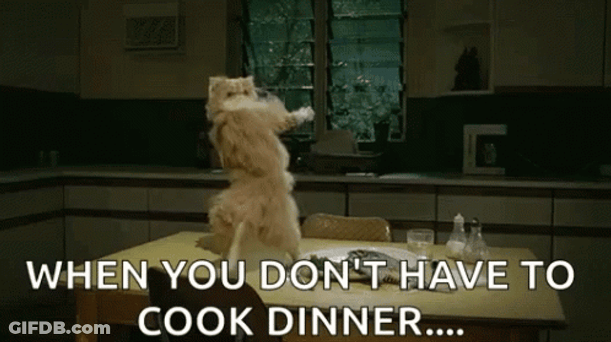 Cat Dance When You Don't Have To Cook GIF