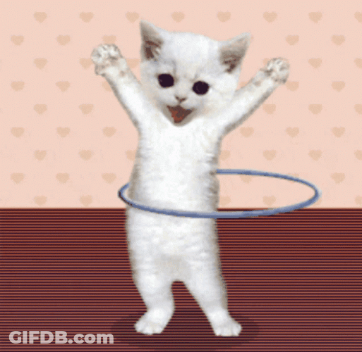 Cat Dance With Hula Hoop Animation GIF