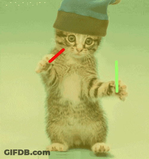 Cat Dancing Glow Sticks Rave Party GIF