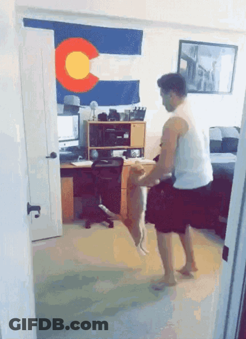 Cat Dancing Happy Celebration Friday GIF