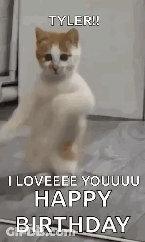 Cat Dancing I Loveeeee Youuu Happy Birthday GIF