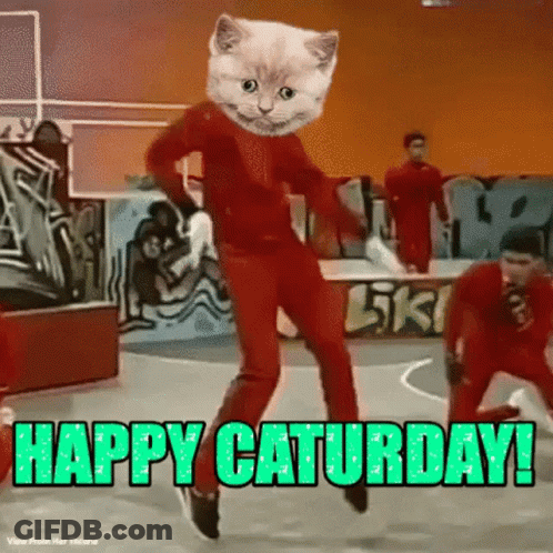 Cat Dancing On Skateboard GIF