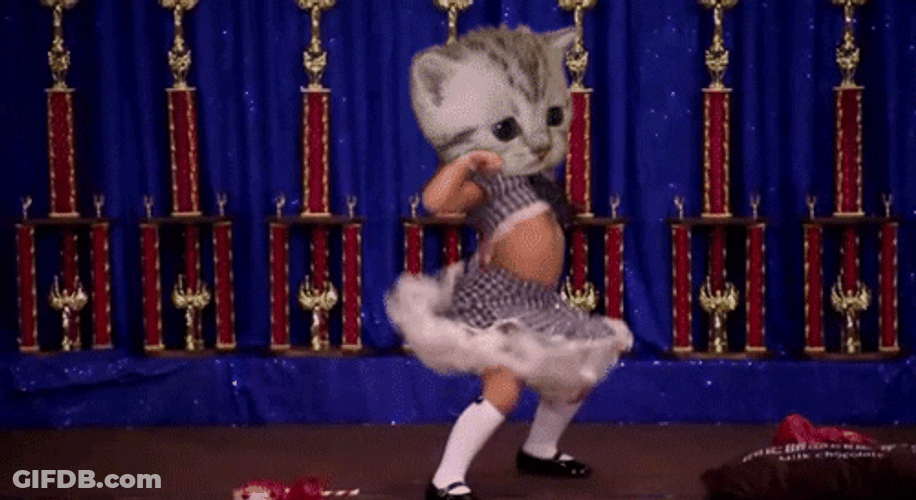 Cat Dancing Stage School Girl Body Mash-Up GIF
