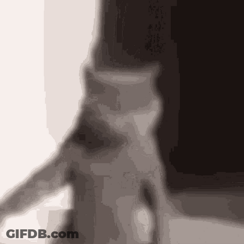 Cat Dancing Sway Body Funny Black And White GIF