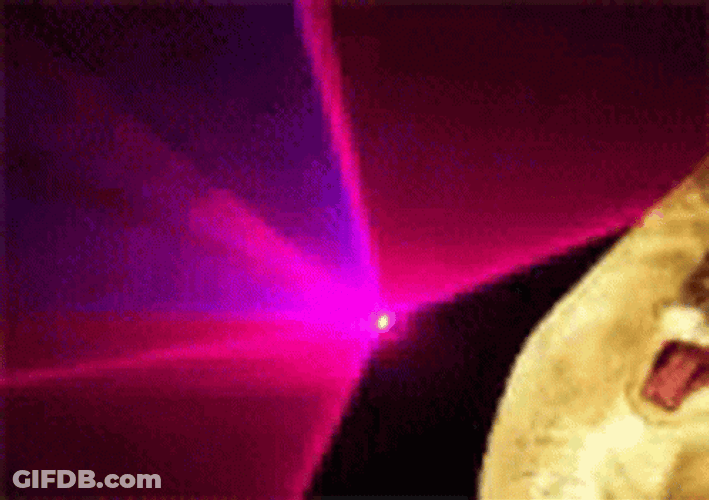 Cat Dancing Wild Party Laser Rave Lights GIF