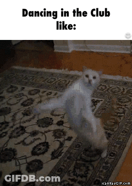 Cat Dancing With Words Dancing In The Club Like GIF
