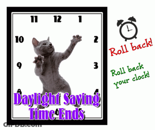 Cat Daylight Saving Time Ends GIF