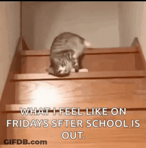 Cat Descending Stairs Lazily Friday GIF