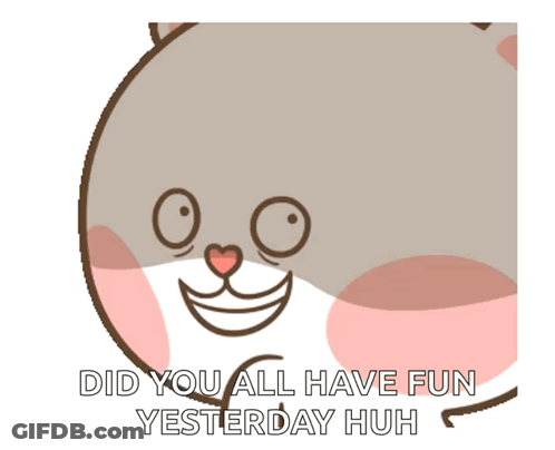 Cat Did You All Have Fun Yesterday Huh GIF