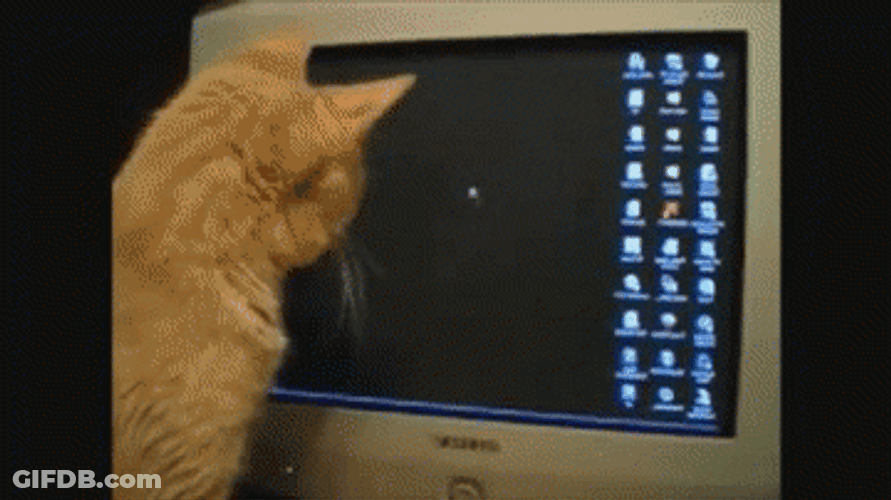 Cat Distracted With Computer Mouse Cursor GIF