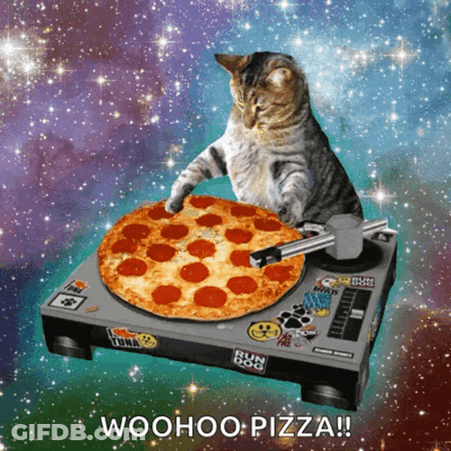 Cat Dj GIF