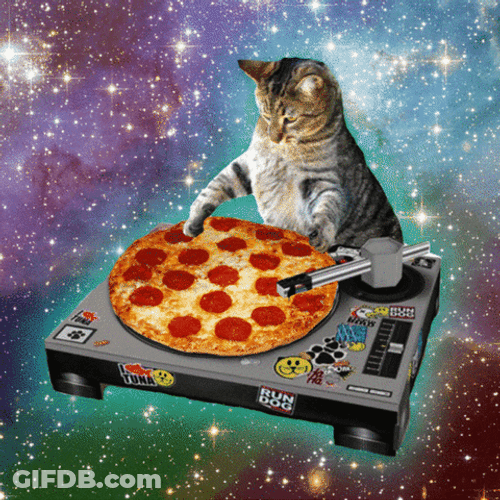 Cat Dj Pizza Party GIF