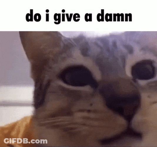 Cat Do I Give A Damn Meme GIF