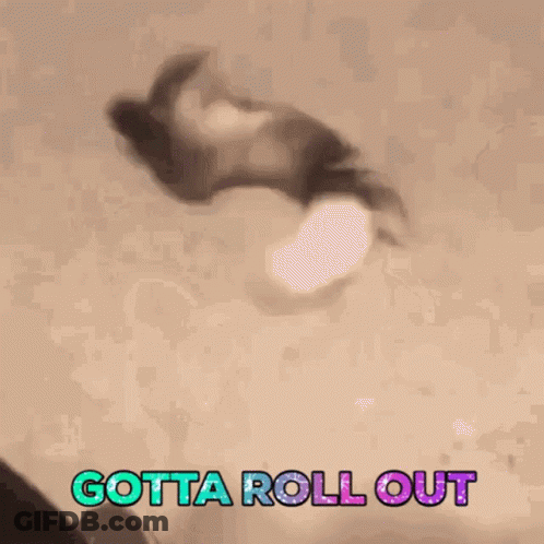 Cat Doing Handstand With Gotta Roll Out GIF