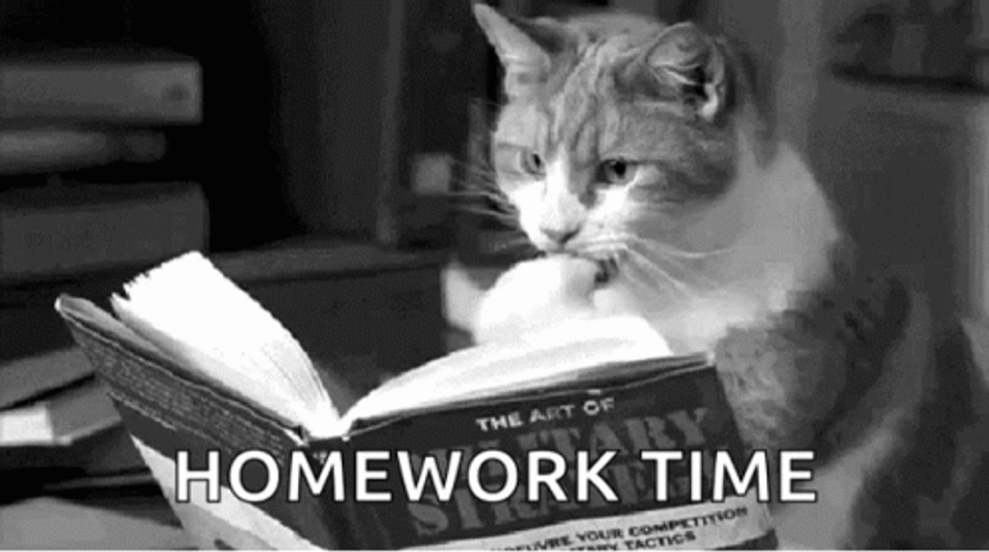 Cat Doing Homework GIF